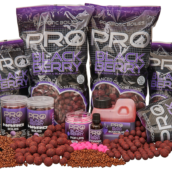 Starbaits Probiotic Black Berry - jahoda/čierna ríbezľa