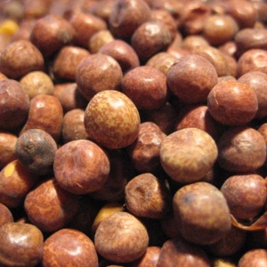Javorové semeno Maple Peas - suché
